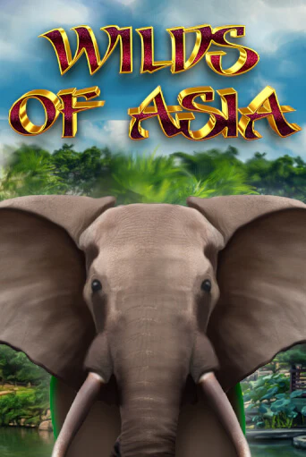 Wilds of Asia - играть онлайн | CashVille Casino - без регистрации
